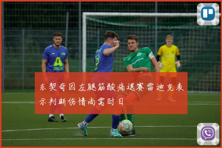 东契奇因左腿筋酸痛退赛雷迪克表示判断伤情尚需时日