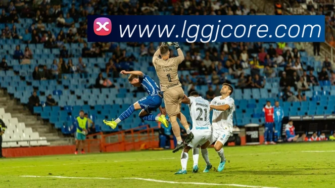 乐冠国际平台生态图